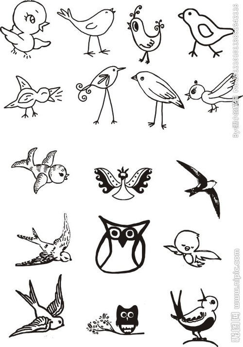 鸟类简笔画组合图片