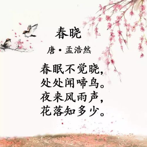 春晓古诗的意思和翻译