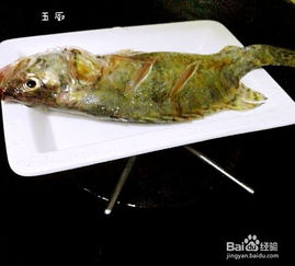 桂魚怎麼做好吃清蒸,桂魚怎麼做湯_競價網