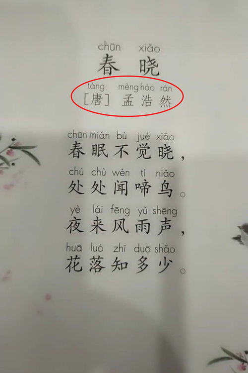 春晓的作者是谁 是哪代诗人