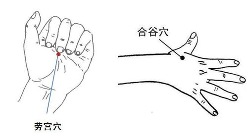 手掌合谷图片