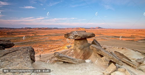 風蝕地貌和雅丹地貌的區別,風蝕地貌圖片_競價網