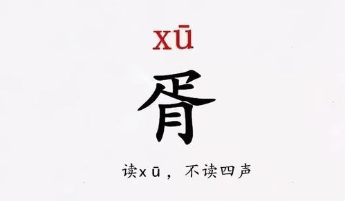 胥字怎么读图片