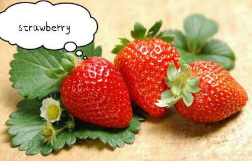 草莓英语单词