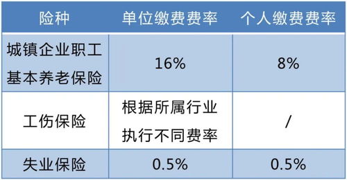 社保补缴哪些(社保补缴哪些没必要交)