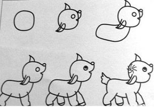 动物笔画顺序图片