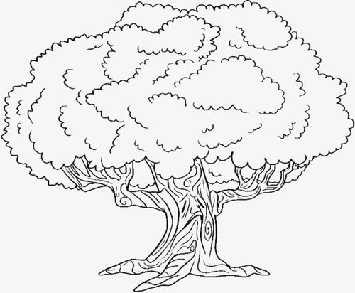 大树怎么画简单又好看,大树怎么画复杂好看