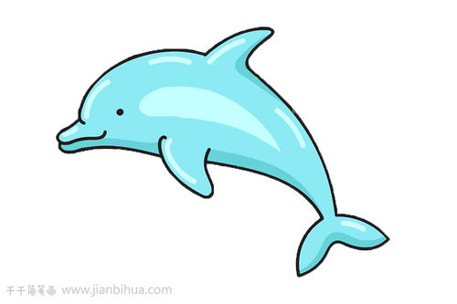 海豚简笔画颜色大海图片