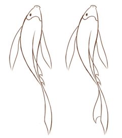 纸,笔 1,第一步,画出鲤鱼的身体,如下图所示:2,第二步,画出鲤鱼的尾巴