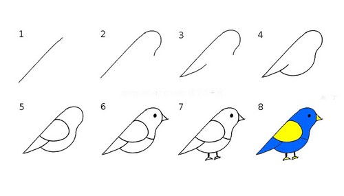 鸟画法简化图片